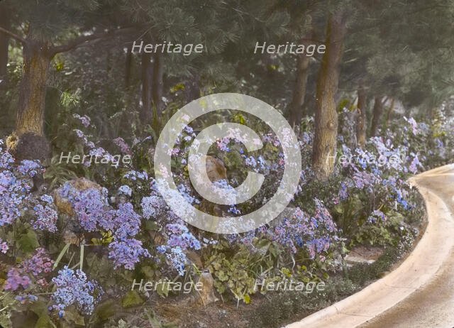 "Kimberly Crest," John Alfred Kimberly house, 1325 Prospect Drive, Redlands, California, 1917. Creator: Frances Benjamin Johnston.