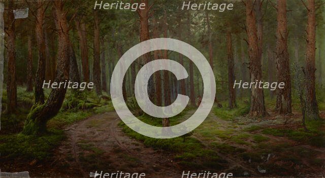 Forest Landscape, 1894. Creator: Karl Klopfer.