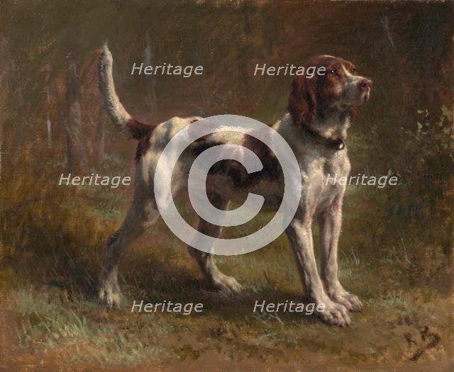 A Limier Briquet Hound, ca. 1856. Creator: Rosa Bonheur.