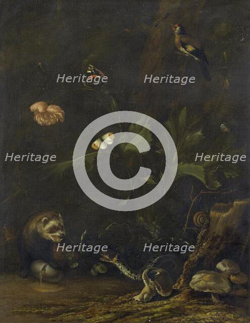Animals and Plants, 1650-1677. Creator: Anthonie van Borssom.