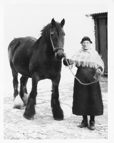 Mrs Mary Williams, Myddfai with 'Scott' the mare, c1970. Creator: Unknown.