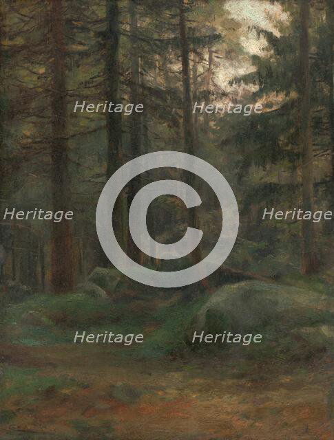 Interior of Coniferious Woods with Rocks, 1895-1900. Creator: Ludovit Cordak.