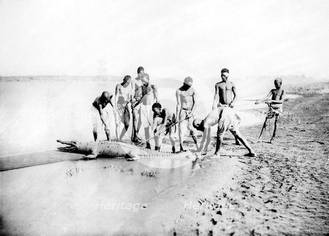 Hunting a crocodile, Nubia, Egypt, 1887. Artist: Henri Bechard