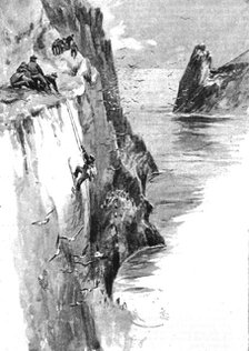 ''An Excursion to St Kilda; Cragsmen taking sea birds eggs', 1890. Creator: Unknown.