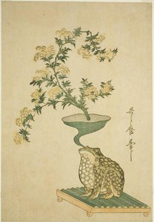 An Arrangement of Valerian (Ominaeshi) and Chinese Bell Flowers (Kikyo), Japan, c. 1796. Creator: Kitagawa Utamaro.