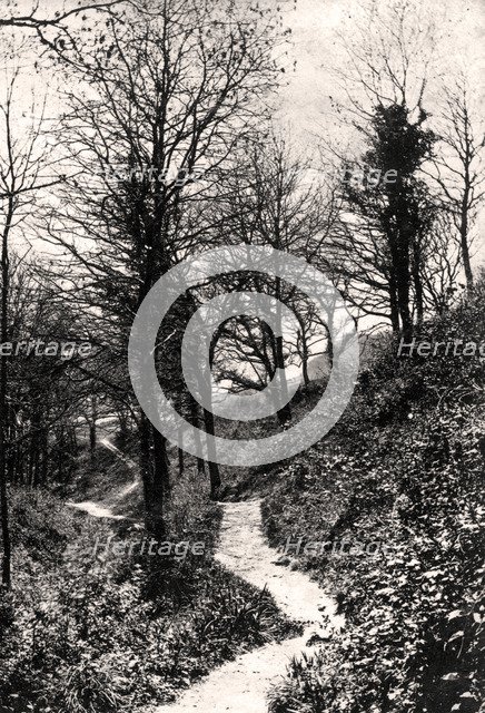 Lovers Lane, Fairlight, Hastings, Sussex. Artist: Unknown