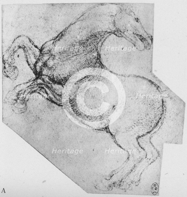 'Study of a Rearing Horse', c1480 (1945). Artist: Leonardo da Vinci.