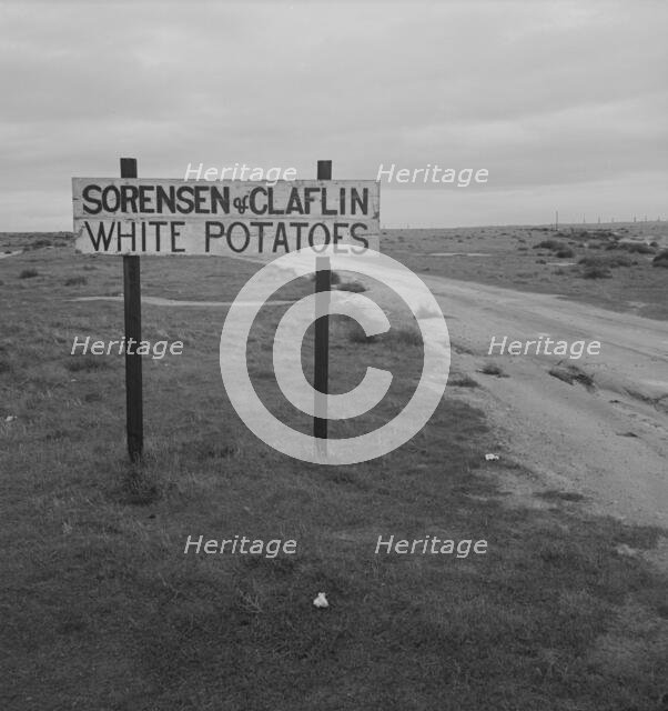 Large-scale agriculture beside U.S. 99. , Kern County, California, 1939. Creator: Dorothea Lange.