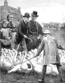 The Goose Club Committee - drawn by A. E. Emslie, 1881. Creator: Eugène Froment.