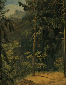 Forest path in the Harz, 1833. Creator: Karl Blechen.