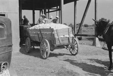 At the cotton gin, Cotton gin and wagons, Hale County, Alabama, 1936. Creator: Walker Evans.