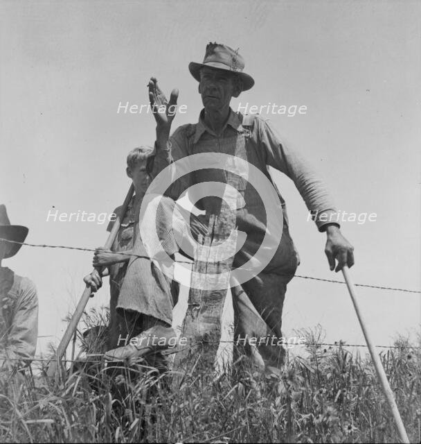Day laborer near Oil City, Carter County, Oklahoma, 1937. Creator: Dorothea Lange.
