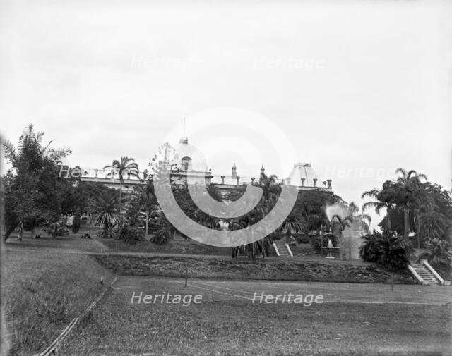 Brisbane City Botanic Gardens, 1910. Creator: Robert Augustus Henry L'Estrange.