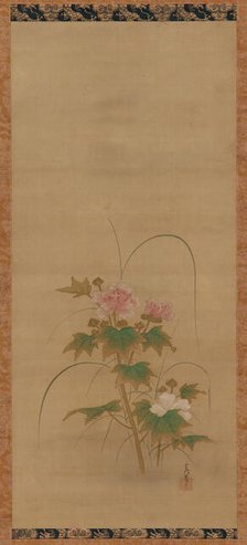 Hibiscus (part of a set), Edo period, mid 17th-early 18th century. Creator: Kanô Yôboku Tsunenobu.