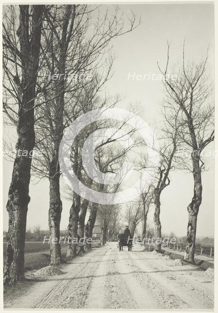 November Days, 1887, printed 1920/39. Creator: Alfred Stieglitz.