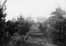 Lincoln Memorial Through Foliage of Potomac Park, 1917. Creator: Harris & Ewing.