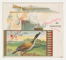 Pintail Duck, from the Game Birds series (N40) for Allen & Ginter Cigarettes, 1888-90. Creator: Allen & Ginter.