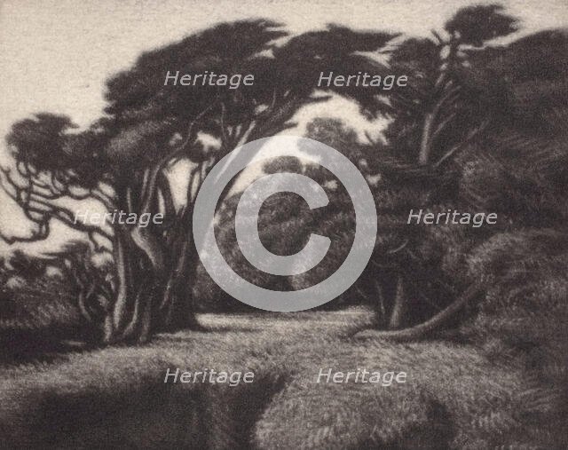 Cypress Bower, 1920. Creator: Ernest Haskell.