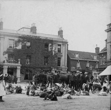 Goat market, possibly Ireland, 1895. Creator: Robert Augustus Henry L'Estrange.
