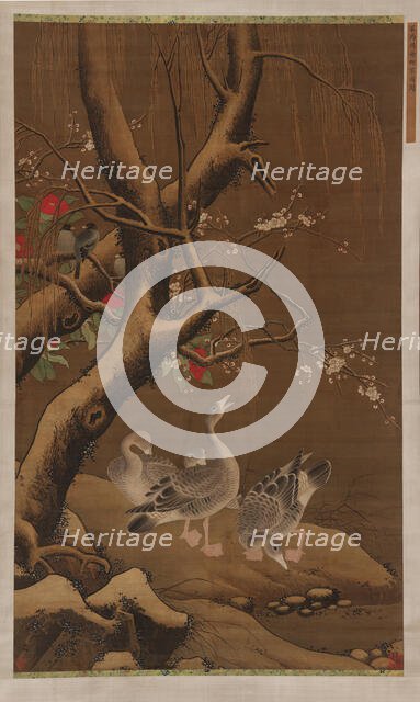 A group of geese under snow-covered willow and blossoming trees, Ming dynasty, 16th-17th cent. Creator: Unknown.