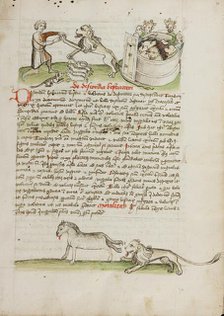 A Shepherd Protecting his Flock from a Lion and a Shepherd and..., third quarter of 15th century. Creator: Unknown.