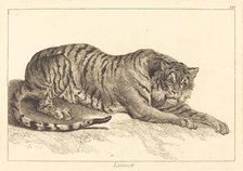 Leopart (Leopard or Tiger). Creator: Jacques Philippe Le Bas.