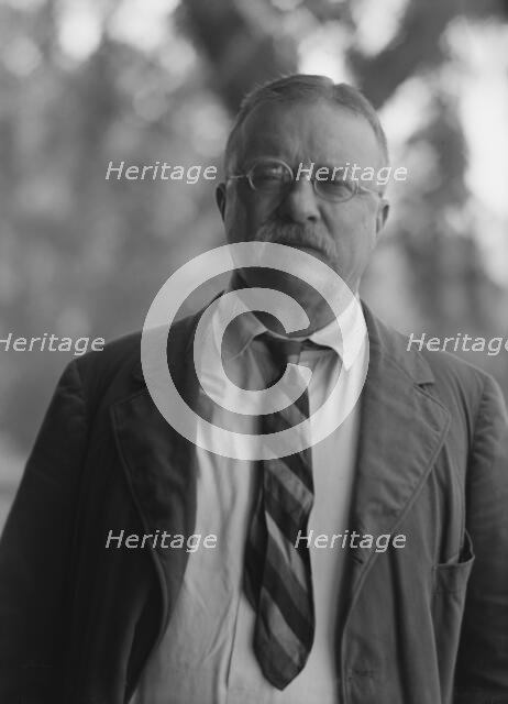 Roosevelt, Theodore, portrait photograph, 1916 Sept. 8. Creator: Arnold Genthe.