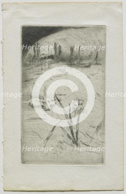 Swan and Iris, 1883. Creator: James McNeill Whistler (American, 1834-1903).