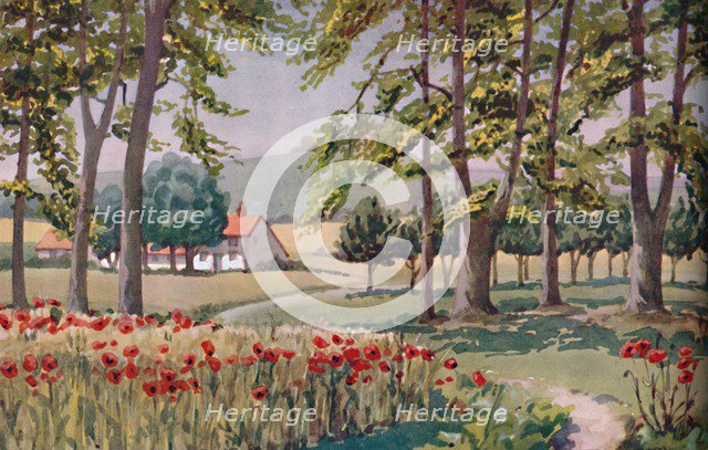 'Summer - The Physical, Chemical and Biological Changes Wrought By The Sun During The Year', 1935 . Artist: Unknown.