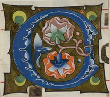 Decorated Initial "O" with Flowers from a Choir Book, 14th century or modern, c. 1920. Creator: Unknown.