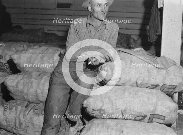 Klamath Basin potato farmer, Tulelake, Siskiyou County, California, 1939. Creator: Dorothea Lange.