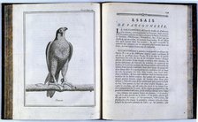 Pages of 'Traité de veneria et de chases', 1769. Creator: Unknown.