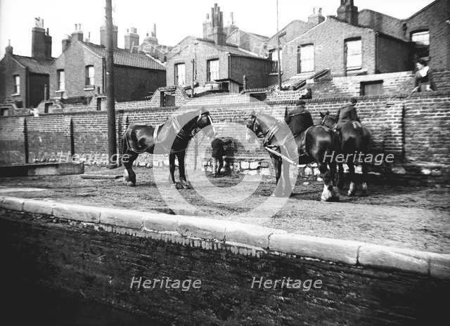 Horses used for towing resting by the side of a canal, London, c1905. Artist: Unknown