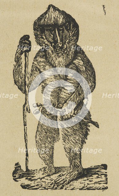 Active Gibbon, 1840. Creator: Unknown.