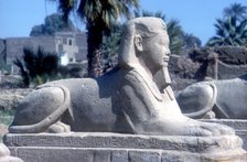 A sphinx from the avenue of Sphinxes, Temple sacred to Amun Mut & Khons, Luxor, Egypt, c370 BC. Artist: Unknown