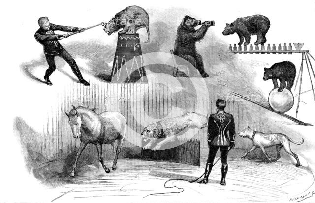 Grand Circus at Covent-Garden Theatre, 1890. Creator: P Naumann.