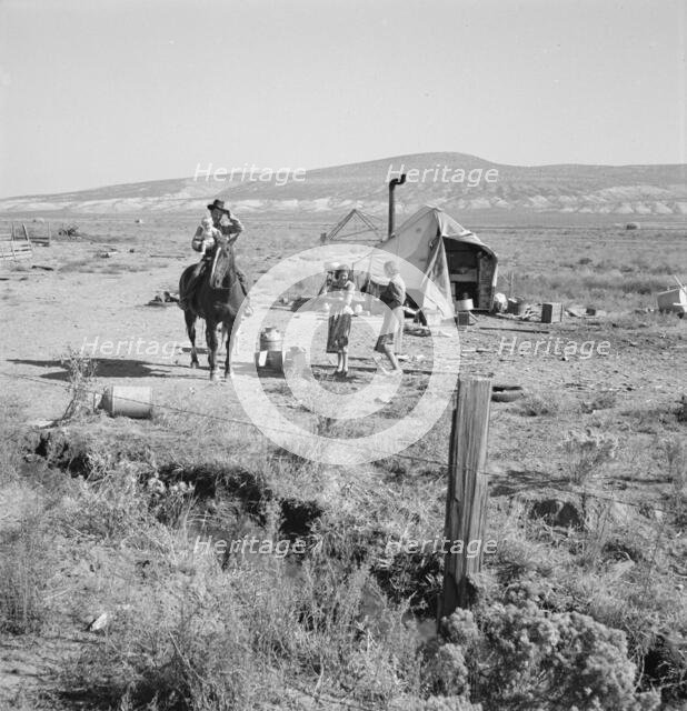 Fairbanks' home, Willow Creek area, Malheur County, Oregon, 1939. Creator: Dorothea Lange.