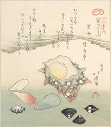 Top-Shell and Various Shells, 19th century. Creator: Totoya Hokkei.