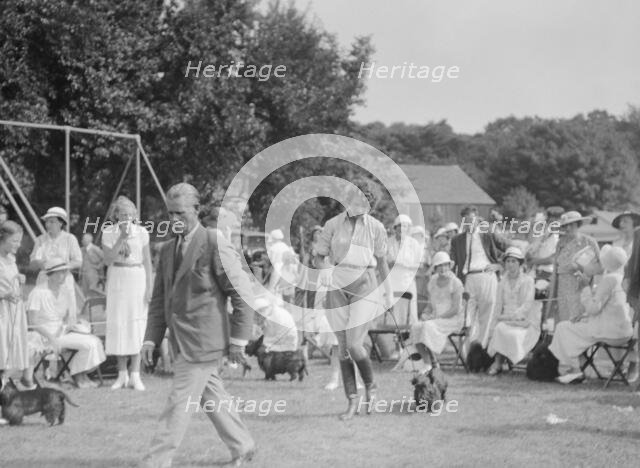 Dog show, East Hampton, Long Island, between 1933 and 1942. Creator: Arnold Genthe.