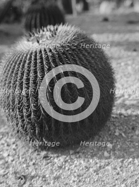 Travel views of the American Southwest, between 1899 and 1928. Creator: Arnold Genthe.