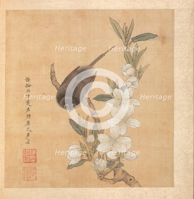 Paintings after Ancient Masters: A Bird and Peach-Blossom Branch, 1598-1652. Creator: Chen Hongshou (Chinese, 1598/99-1652).