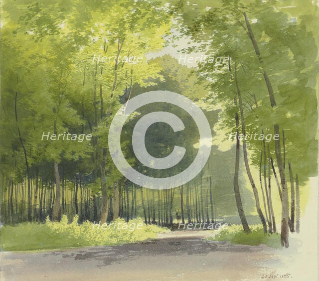 Forest section, 1855. Creator: Carl Theodor Reiffenstein.