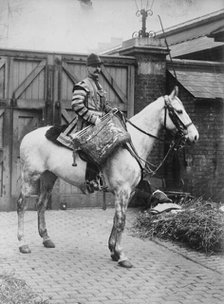 Mounted Trumpeter, Household Infantry, London, between c1910 and c1915. Creator: Bain News Service.