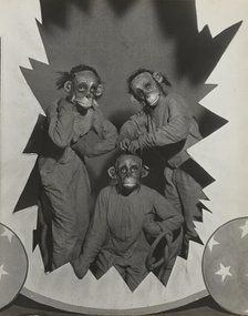 The Three Monkeys, 1937. Creator: Unknown.