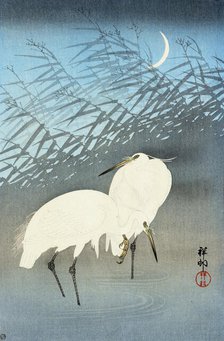 Pair of white egrets, 1930. Creator: Ohara Koson.