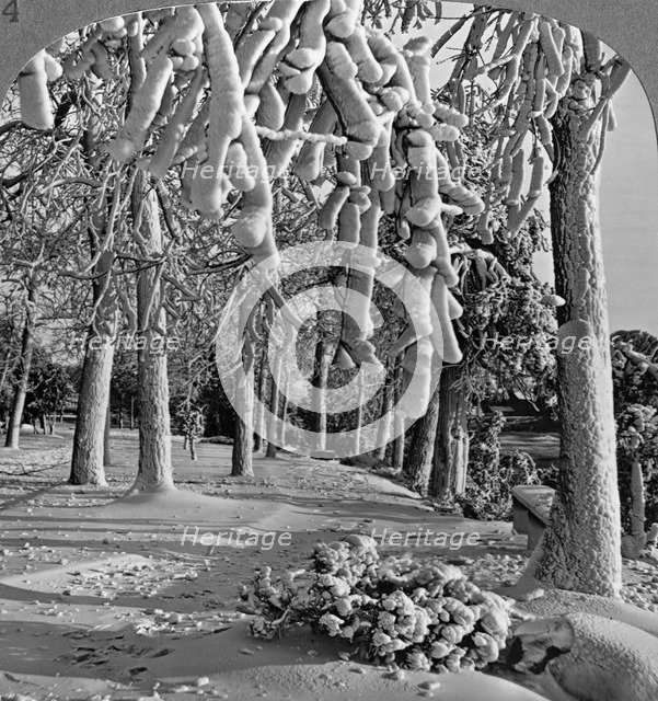 Winter scene, Goat Island, Niagara Falls, New York, USA.Artist: Realistic Travels Publishers