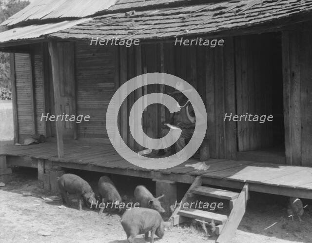 Turpentine worker's home, Georgia, 1937. Creator: Dorothea Lange.