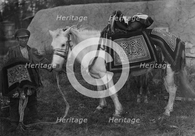 Horse in festive harness and rider in ceremonial attire, 1890.  Creator: Unknown.