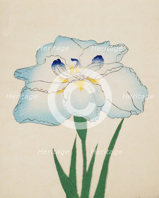 Issui-No-Gin, No. 34, 1890, (colour woodblock print)