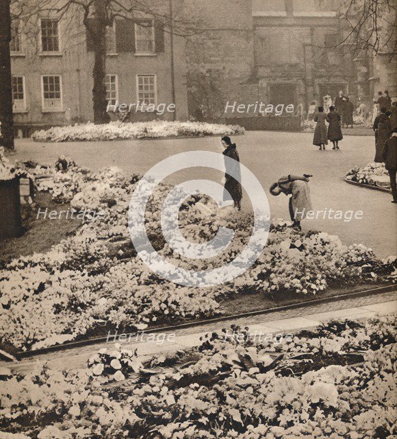 'The State Funeral of King George V at Windsor: memorial wreaths', 1936. Artist: Unknown.